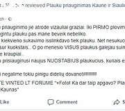 Reveka Devolskytė, MB I&scaron;lepinta
