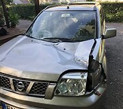 Medžio &scaron;aka suniokojo automobilį Buivydi&scaron;kėse