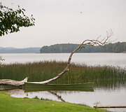 Senoji Palū&scaron;ės valtinė