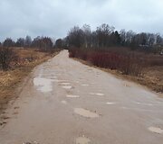 Pavilny esanti K.Bizausko gatvė