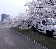 &bdquo;Mano aplinka&ldquo; automobilis po sakura