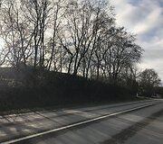 &Scaron;ioje vietoje Avižieniuose ketinama statyti gamyklą.