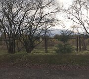 &Scaron;ioje vietoje Avižieniuose ketinama statyti gamyklą.