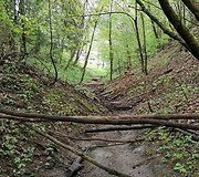Pavilnių ir Verkių regioninių parkų darbuotojai užtveria takus kalnų dviratininkams.