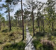 Vaizdai i&scaron; &bdquo;Ingrida Tours&ldquo; organizuojamų kelionių