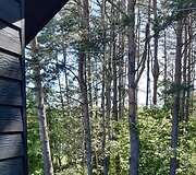 Mi&scaron;kas &scaron;alia Pakonių kaime