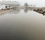 Bendorėlių 1-oji al.