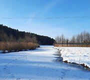 Gavaičio ežero pakrantės Ignalinoje