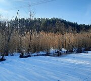 Gavaičio ežero pakrantės Ignalinoje