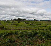 Jolitos ir Sauliaus Bugaili&scaron;kių rožių ūkis