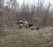 Kelionė į Kramatorską