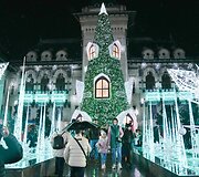 Krajovos Kalėdų eglė