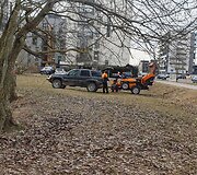 Sužymėti medžiai Priegliaus gatvėje
