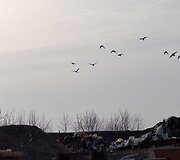 &bdquo;Atliekų rū&scaron;iavimo centro&ldquo; teritorija