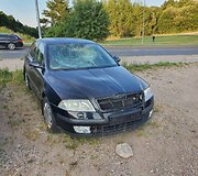 Apleisti automobiliai Fabijoni&scaron;kėse