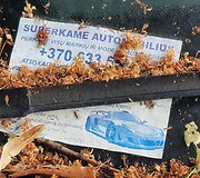 Apleisti automobiliai Fabijoni&scaron;kėse