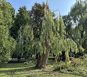 Audros padariniai Kielcuose