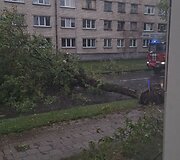 Panevėžio Marijonų g.