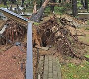 Audros nuniokotos &Scaron;ilaičių kapinės