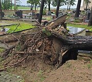 Audros nuniokotos &Scaron;ilaičių kapinės