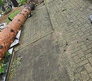 Audros nuniokotos &Scaron;ilaičių kapinės