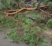 Audros nuniokotos &Scaron;ilaičių kapinės