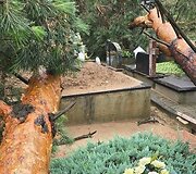 Audros nuniokotos &Scaron;ilaičių kapinės
