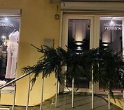 Olena Žemčugova ir jos darbai