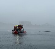 Kuprotojo banginio gelbėjimo akcija Baltijos jūroje