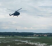 Sraigtasparnis mėto smėlio mai&scaron;us &scaron;iaurinėje Lenkijoje