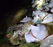 Sraigtasparnis mėto smėlio mai&scaron;us &scaron;iaurinėje Lenkijoje