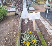 Lentelės Anyk&scaron;čių senosiose kapinėse
