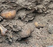 Archeologiniai kasinėjimai Pranci&scaron;konų gatvėje atvėrė žmonių palaikus