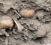 Archeologiniai kasinėjimai Pranci&scaron;konų gatvėje atvėrė žmonių palaikus