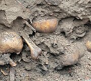 Archeologiniai kasinėjimai Pranci&scaron;konų gatvėje atvėrė žmonių palaikus
