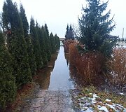 Atlydys Vakarinėje Lenkijos dalyje