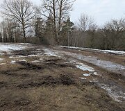 news_69b27ce45b70c482a6f2.jpg