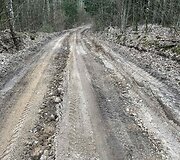 Suniokotas kelias Veisiejų regioniniame parke