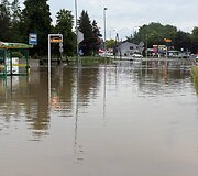 Liūties užpiltas Jast&scaron;embis Zdrujus Lenkijoje