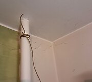 Suskilinėjusios renovacijos metu sienos