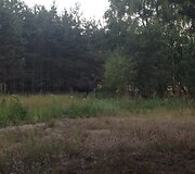 &bdquo;Nidos gurmanė&ldquo;