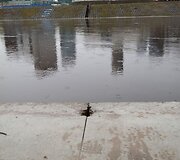 Neries pakrantės slūgstant vandeniui
