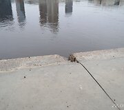 Neries pakrantės slūgstant vandeniui