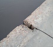 Neries pakrantės slūgstant vandeniui