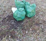 &Scaron;iuk&scaron;lės &scaron;alia Trilypio ežero, Ignalinos rajone