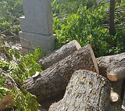 Vaizdai i&scaron; Siesikų kapinių