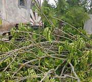Vaizdai i&scaron; Siesikų kapinių