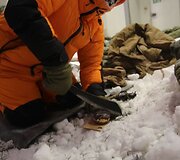 Eksperimento &bdquo;Prisijaukiname &scaron;altį&ldquo; metu