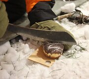 Eksperimento &bdquo;Prisijaukiname &scaron;altį&ldquo; metu