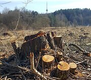 I&scaron;kirsta Sudervės upelio pakrantė